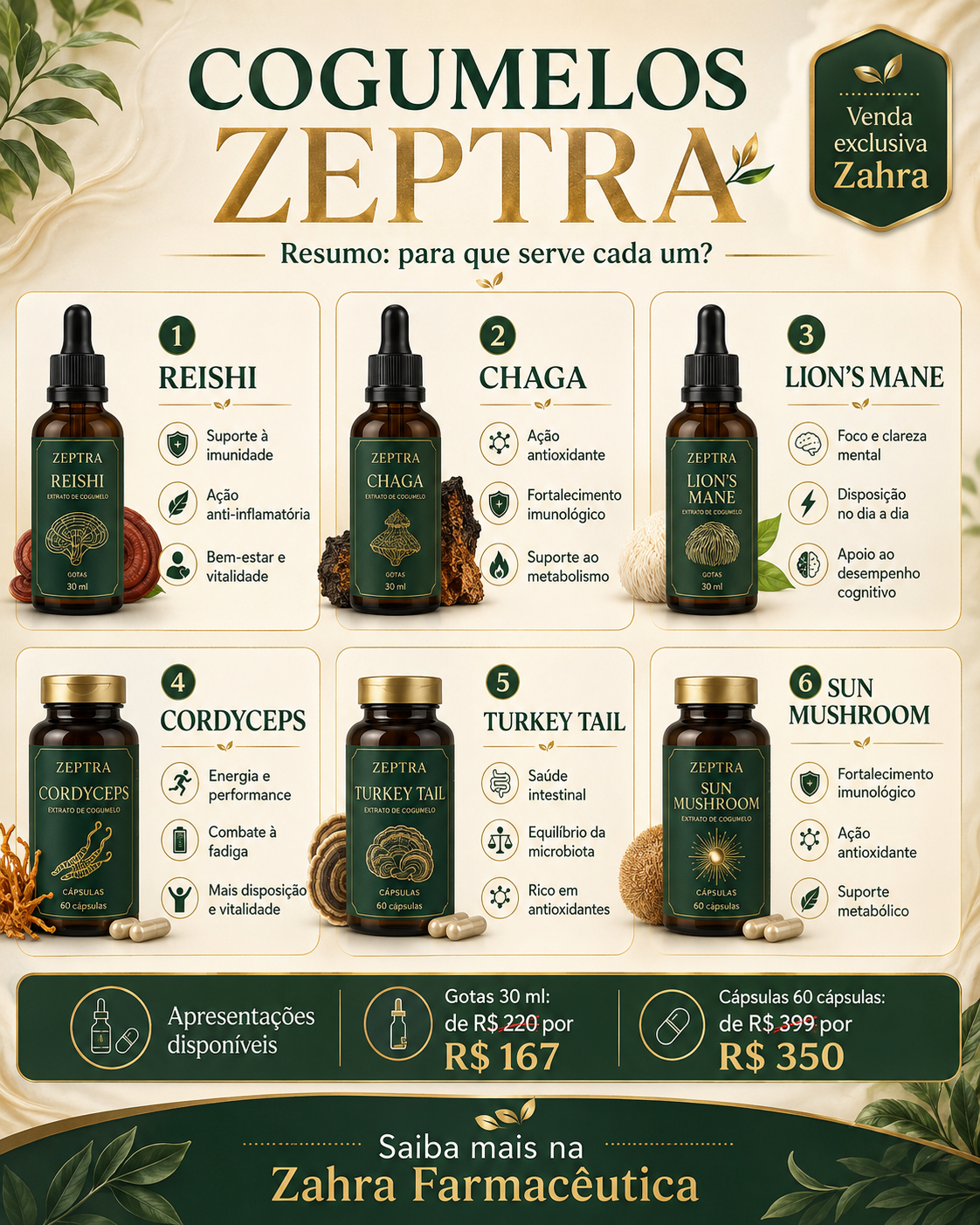 CHAGA - ZEPTRA