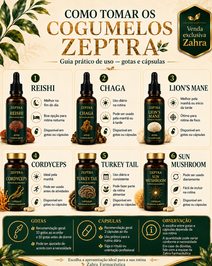 CHAGA - ZEPTRA