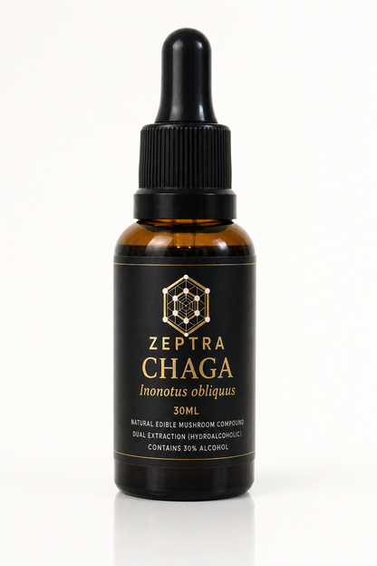 CHAGA - ZEPTRA