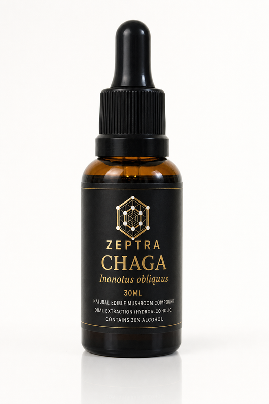 CHAGA - ZEPTRA
