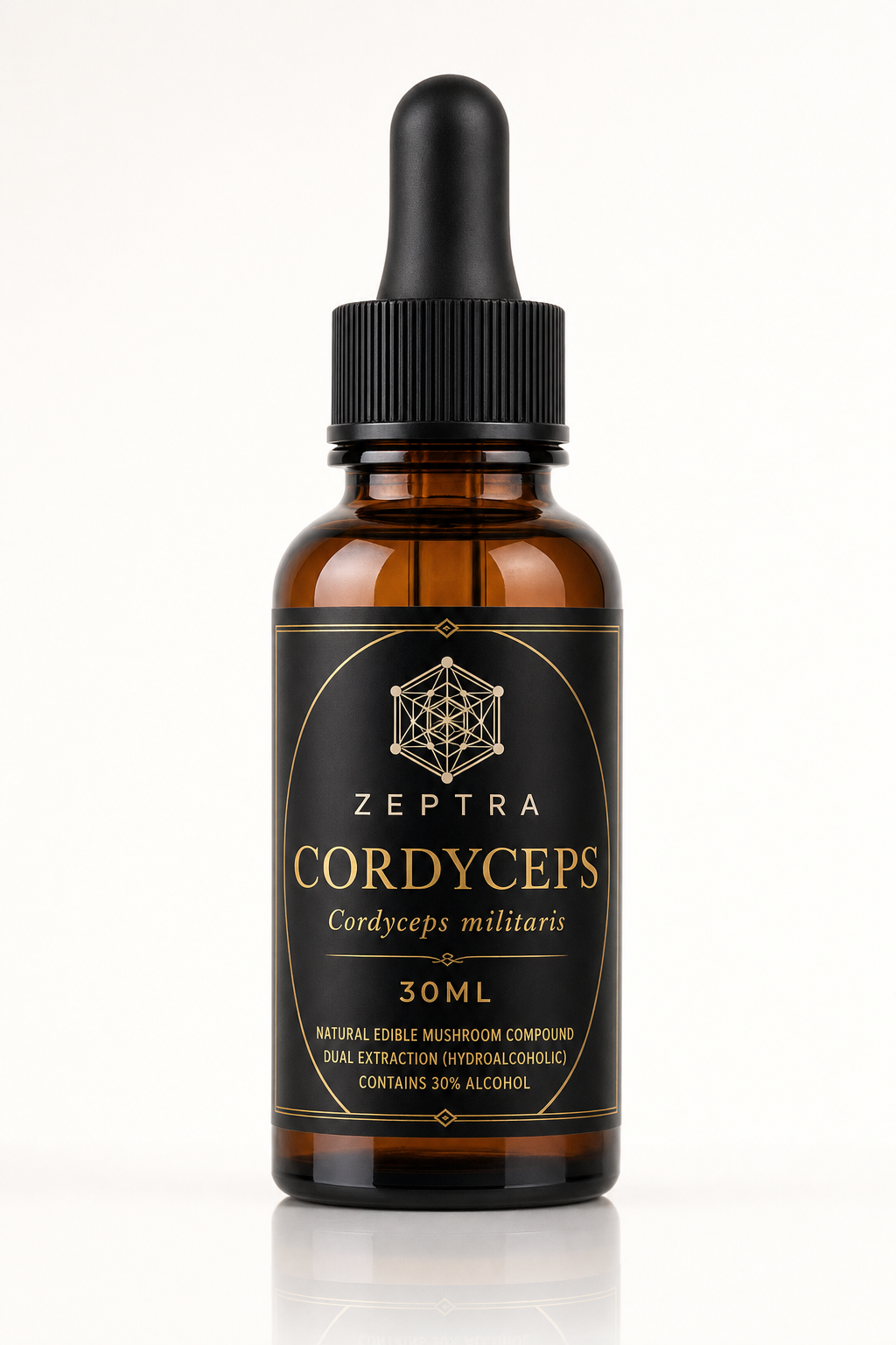 CORDYCEPS - ZEPTRA