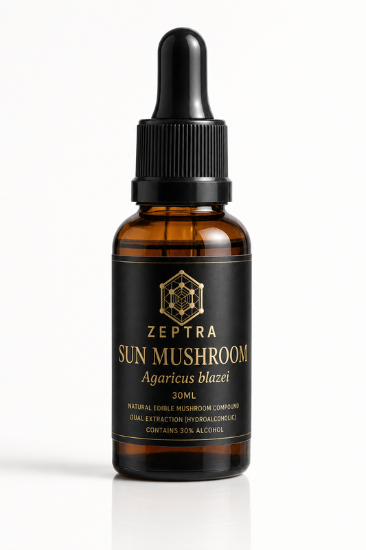 SUN MUSHROOM - ZEPTRA